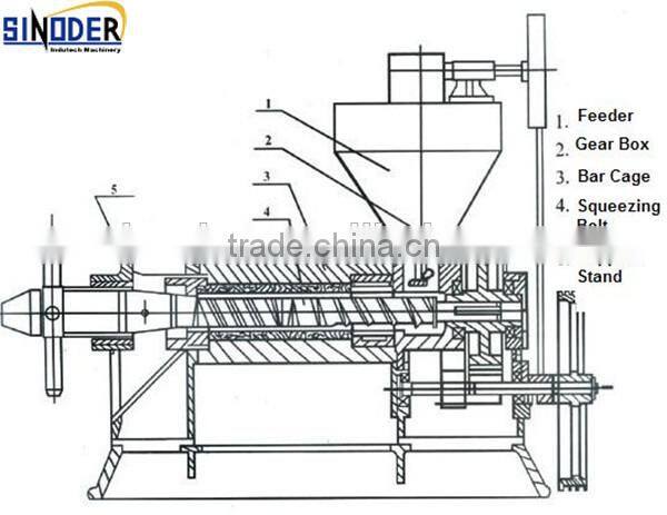 Supply Mini Olive Oil Press Machine/mini oil press machine/Vegetable Seeds Oil Press