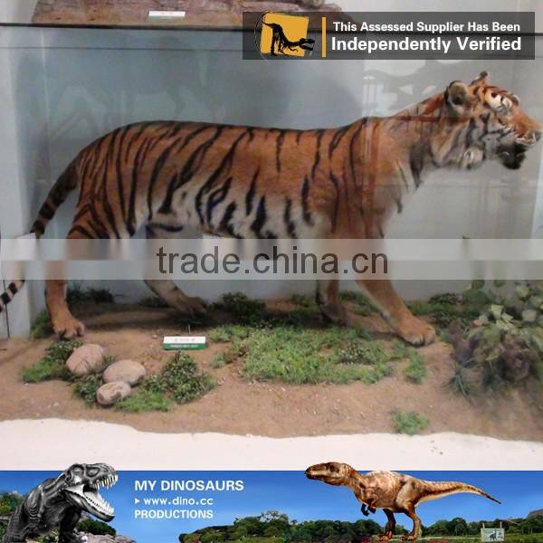 My-dino life size animatronic tiger animal statues