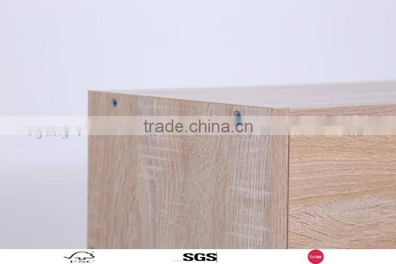 2016 modern Living Room Furniture ,2 Layer Shoe Rack / Shoe Cabinet/TYW.