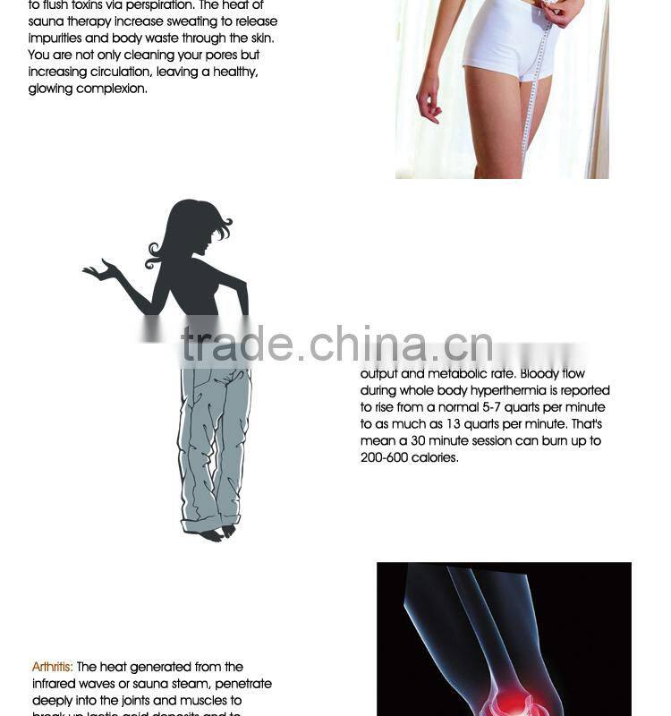 CRW AG0012 computer steam sauna room