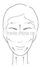 Cheap Hot Sell Facial Electronic Mini Galvanic SPA with CE