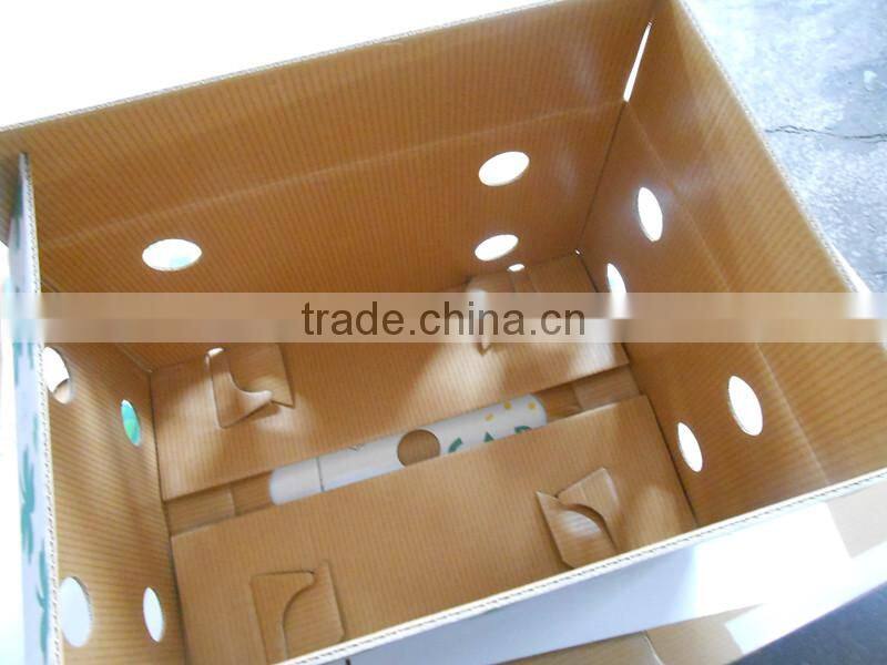 frozen fish packaging boxes