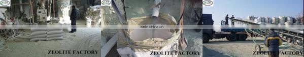 Clinoptilolite 100% Natural Zeolite Rock/Stone for Water Industry Products