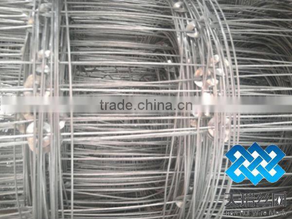 galvanized iron grassland fence / galvanzied grassland fence / cattle fence