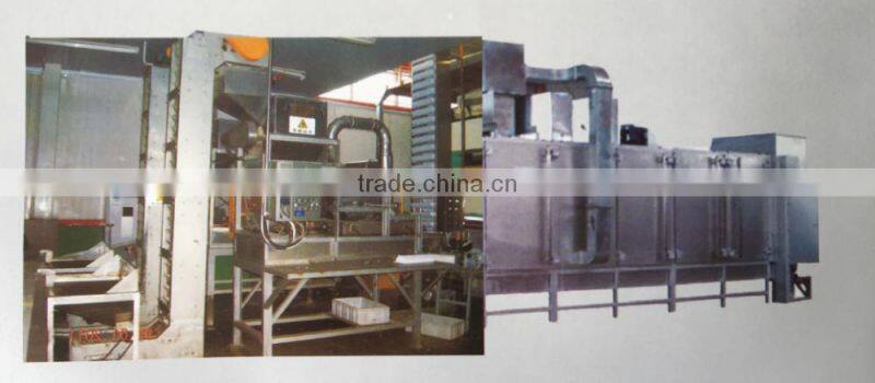 Peanut roasting line