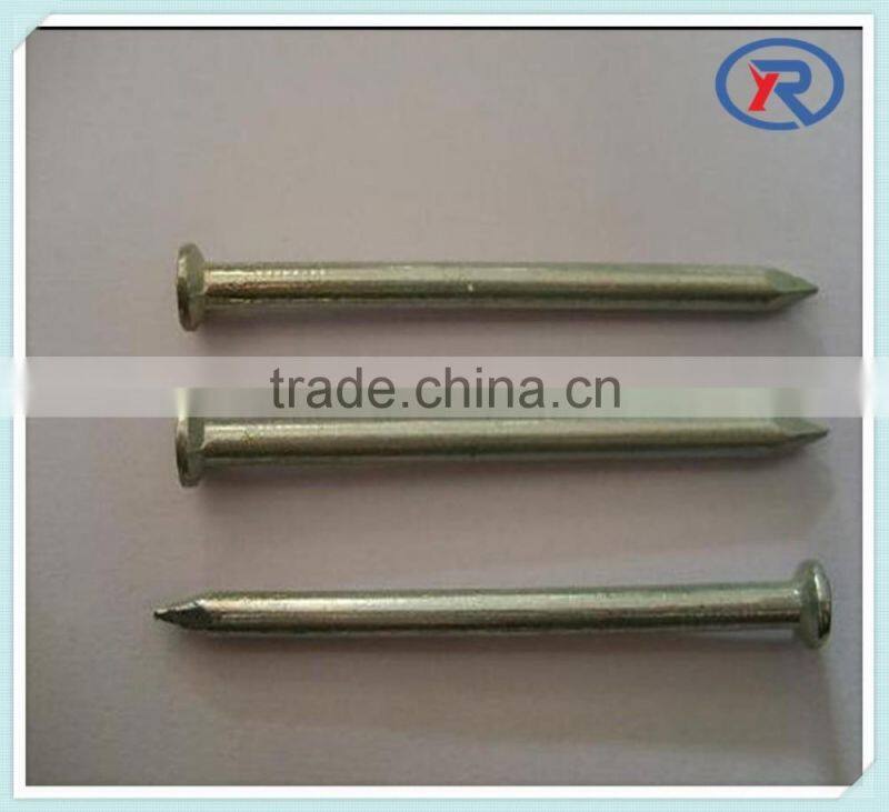 cheap price Galvanized Concrete Nails With Plain Shank made in china
