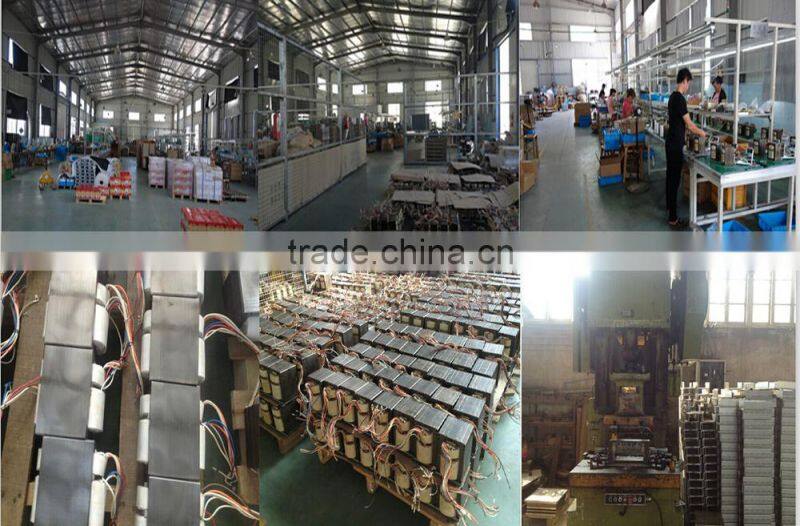 600W electronic ballast use for Hydroponic light&Plant growth lamp