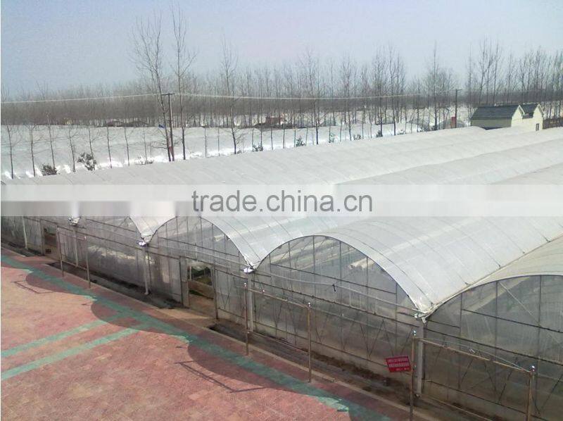 Plastic greenhouse for sale/ big greenhouse manufacturer in China