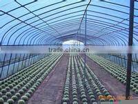 transparent ldpe agriculture film