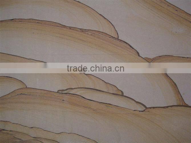 fossil mint sandstone from china