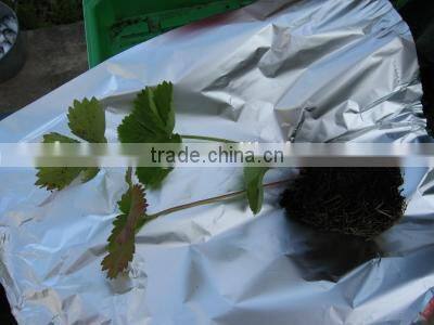 Hanging planting bags,Hanging Flower Pouches,Hanging Plant Bag