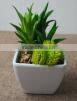 SJ1801212 Artificial small succulent bonsai plant/mini cheap plastic plant