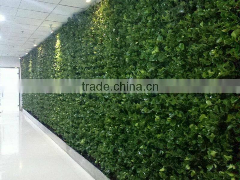 Hot selling plant wall artifical green plant wall used indoor
