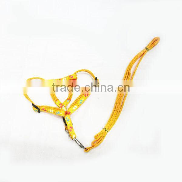 Dog leash /Pet leash