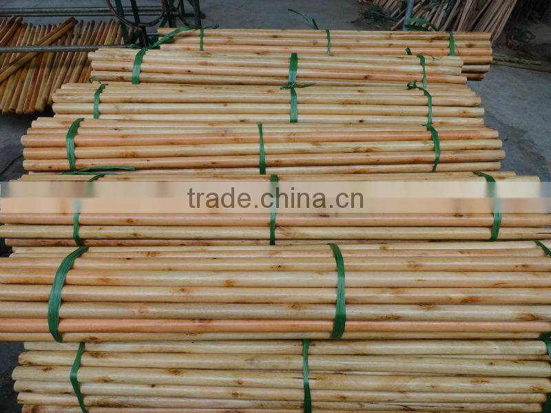 Varnished wooden mop stick
