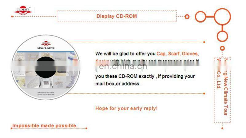 fancy womens socks 2013