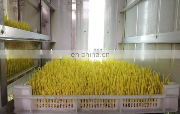 Factory price top quality vegetable seeds barley germinating machine