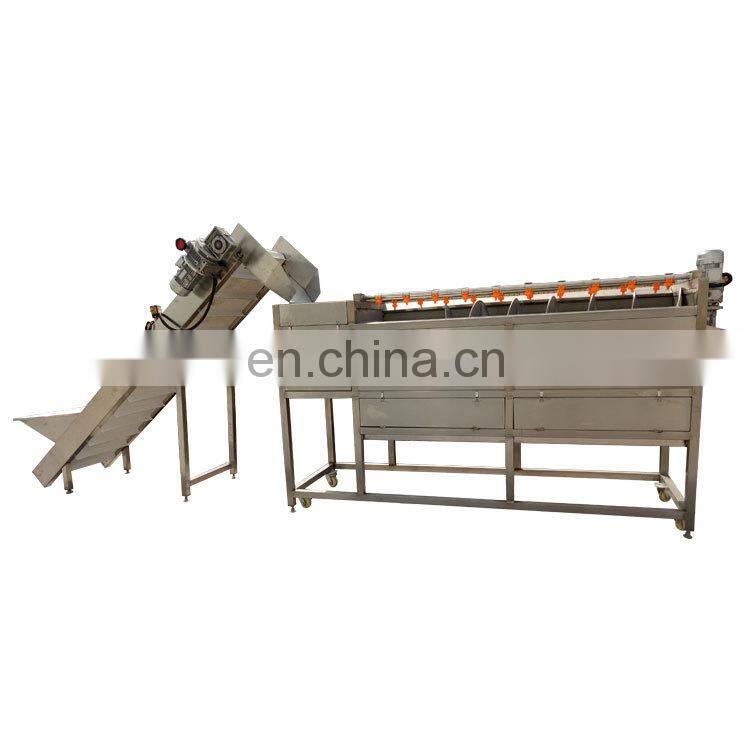 Taizy Potato Ginger Carrot Peanut Orange Taro Washing Machine