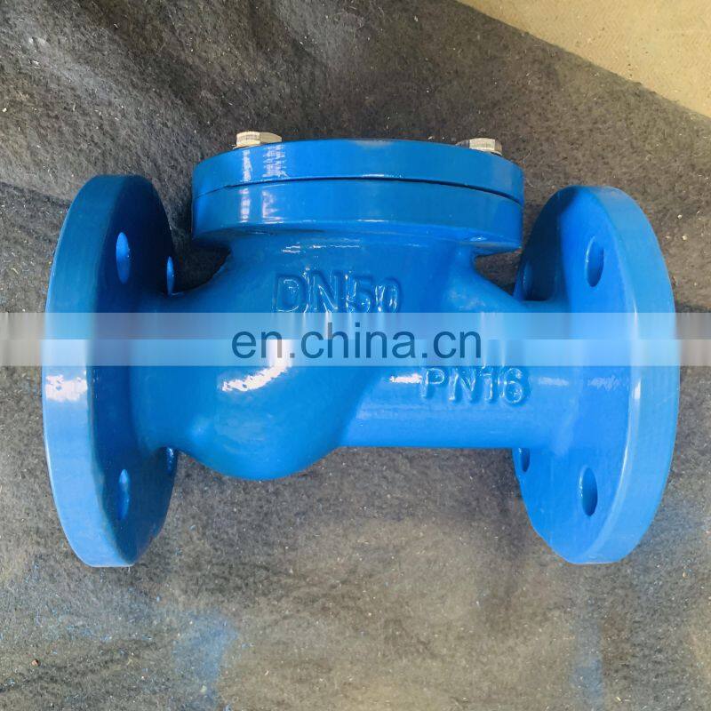 BS5163 DN100 Flapper Type PN16 Ball Check Valve