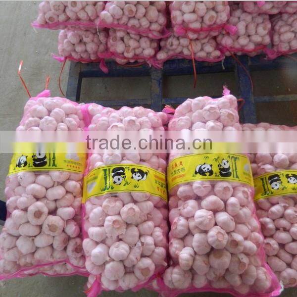 wholesale new crop Jinxiang garlic OEM garlic factory garlic export