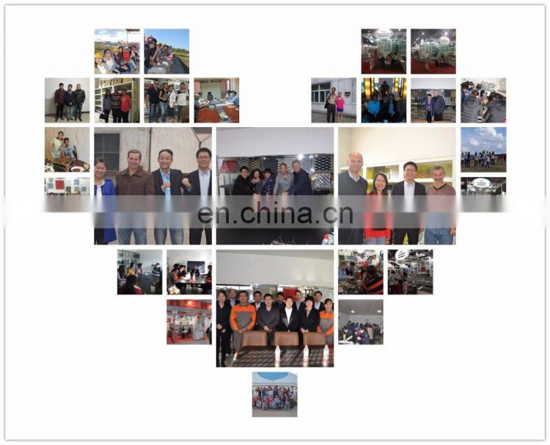 PVC Powder coated galvanized welded wire mesh For fence