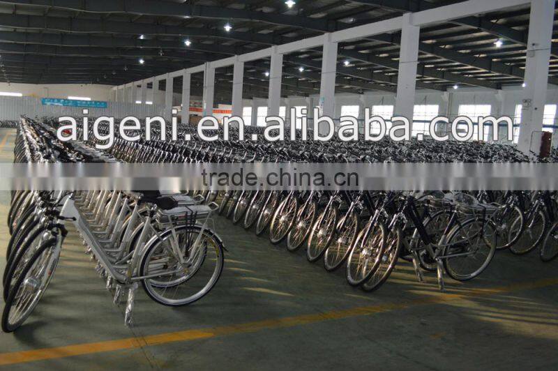 Classical Tektro disc brake electric bike