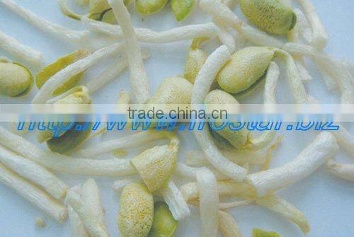 Frozen Bean Sprout