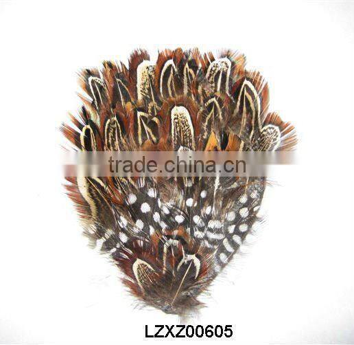 ringneck church window pad LZXZ00584