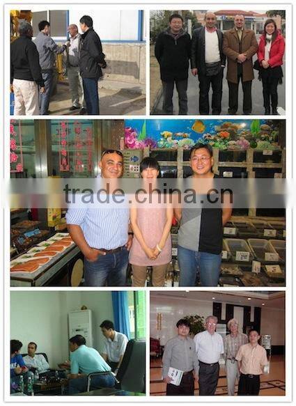 metal casting sand moulding machine, jolt squeeze sand molding machine energy saving ISO9001 certified