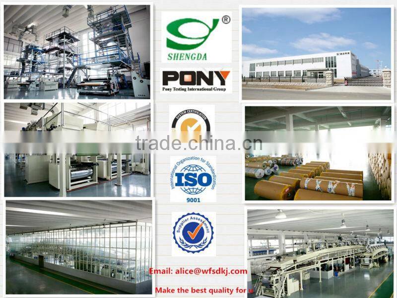 polyester silicone film manufacture