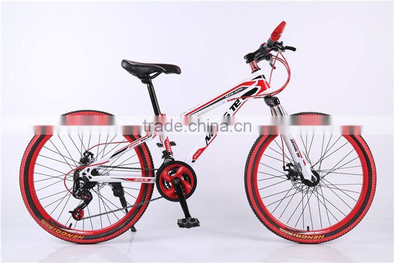 24-inch mountain bike 21 speed dual disc brakes mountain bike