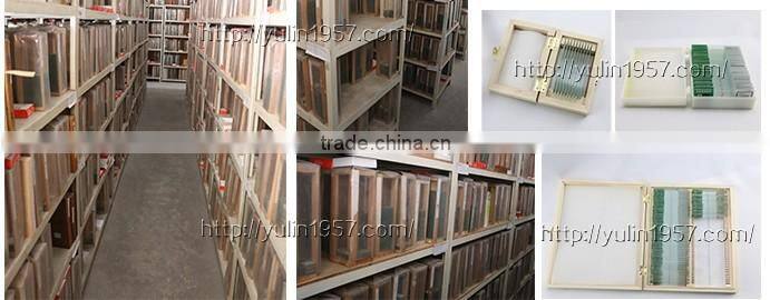 Discount School Teaching Microscope Biological Prepared Slides of Histology on sale