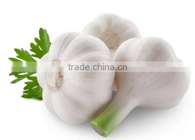 New Style Automatic Electric Normal Garlic Shallot Skin Removing Peeler Peeling Machine