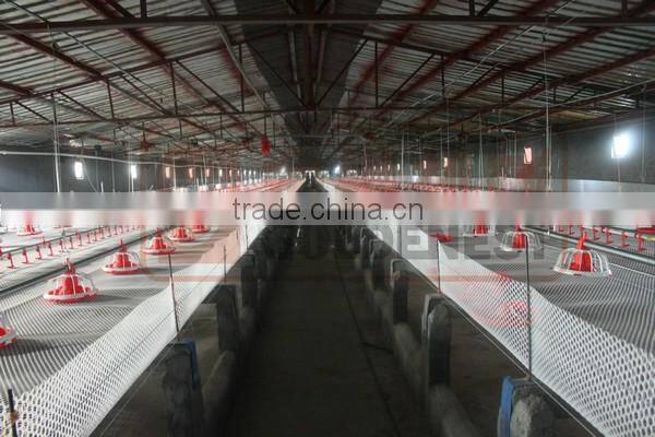 easy cleaning poultry farm equipment automatic feeding system/automatic feeder for shed