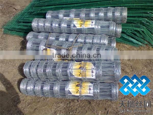 grassland sheep mesh wire fencing/cow fence/field fence factory direct supply