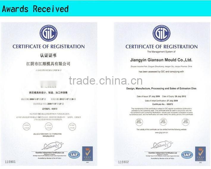 Multi cavity/aluminum extrusion mould/professional mould designer$manufacturer