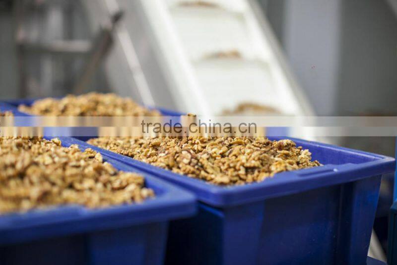 Walnut kernel Multiple layer continuous type mesh belt dryer