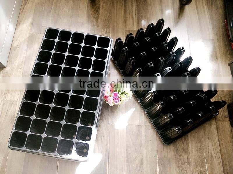 deep root seed starting trays, deep cells forestry seedling trays, stock MOQ 1000pcs