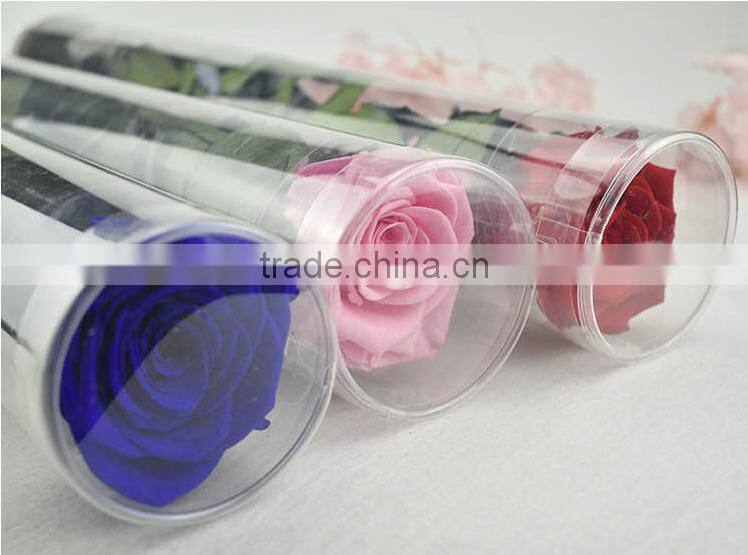 Colurful Real Natural Preserved Roses With Stem