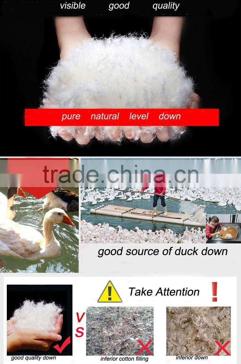 Children Ski Down Jacket