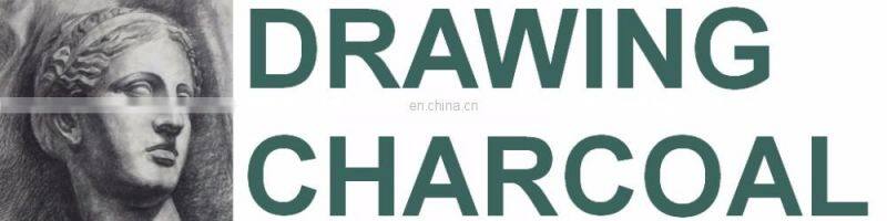 Dia. 5~6mm Artist Willow Charcoal Drawing Charcoal Sketch Charcoal