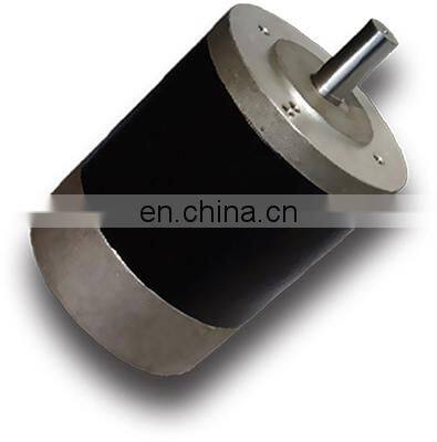 OD 100 mm 3000 rpm brushed dc motor 24v 800w high speed permanent magnet motor BMM334