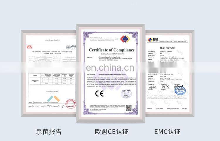 Household ultraviolet sterilization anti-virus sterilizer handheld USB rechargeable portable travel disinfection lamp