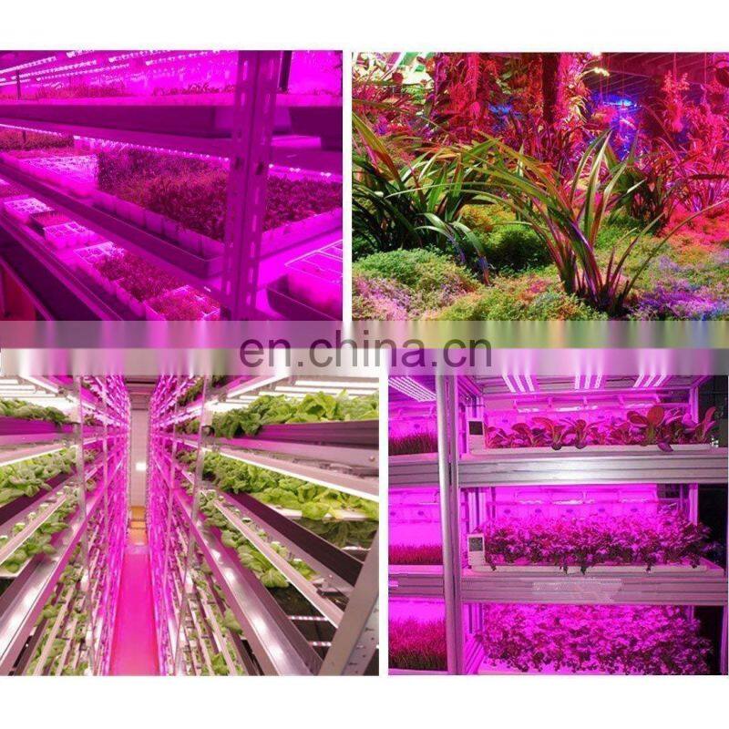 SMD 5050 4 Red 1 Blue plant grow lighting waterproof led grow light strips for microgreens lettuce