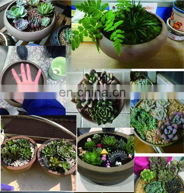 Jingdezhen mini hand painted decorative ceramic flower pots for sale