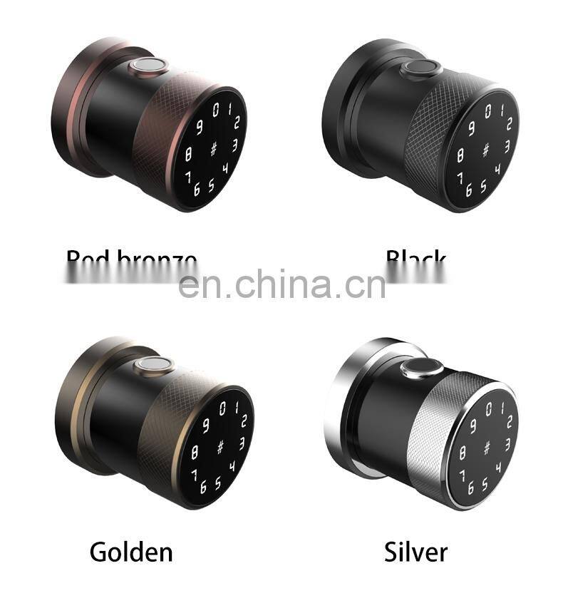Front Door Keyless Entry Electronic Mortise Code Touchscreen App Unlock Cylinder Gate Door Lock For Office Rent House