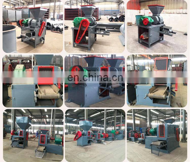 Different Models of hydraulic dry powder briquetting machine factory price