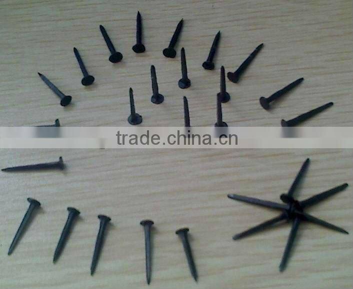 hot saled shoe tack nails(factory)