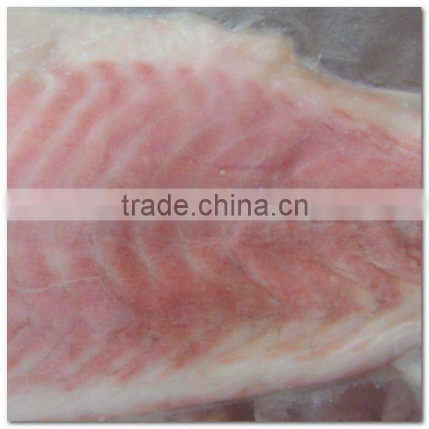Frozen fresh sciaenops ocellatus fillet