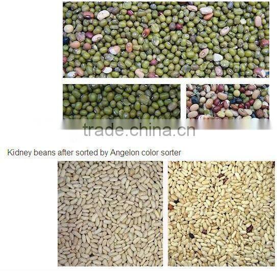 Pine Nuts Color Sorting